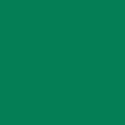 Cricut Joy™ Smart Vinyl™ - permanentes Vinyl ohne Schneidematte(3 m / 10 Fuß), Gras