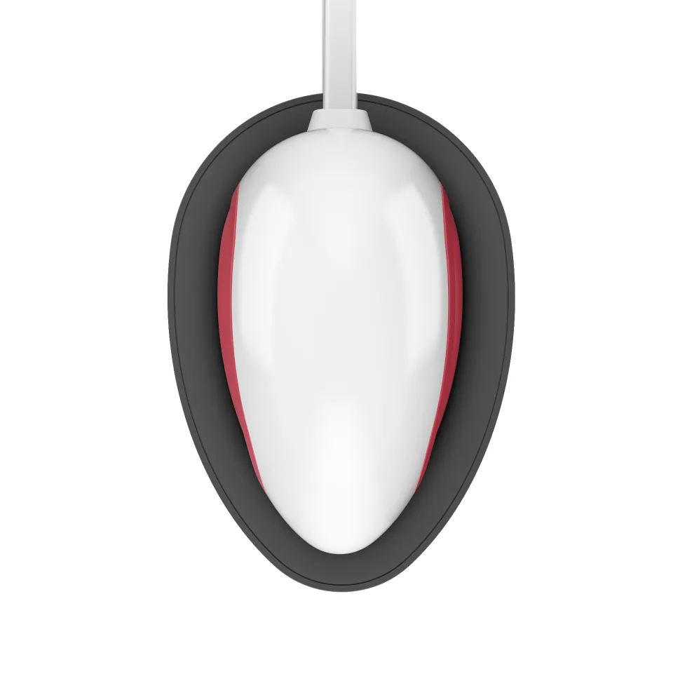 CricutEasyPressMini™, Himbeere