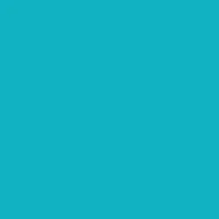 Premium Vinyl™-Sampler, Sommer - Permanent