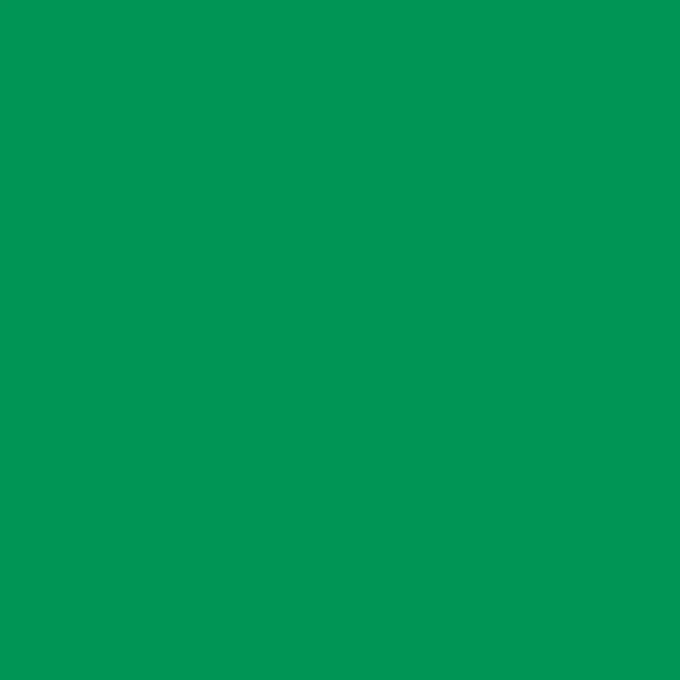 Smart Vinyl™ Permanent, Gras (3.7 m)